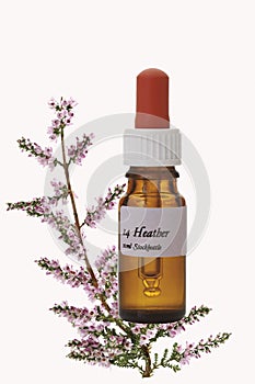 Bottle with Bach Flower Stock Remedy, Heather (Calluna vulgaris)