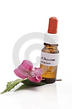 Bottle with Bach Flower Stock Remedy, Impatiens