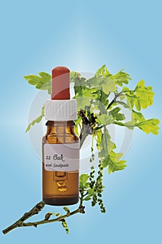 Bottle with Bach Flower Stock Remedy, Oak (Quercus), close-up