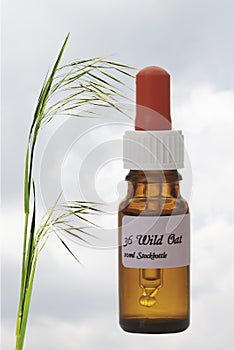 Bottle with Bach Flower Stock Remedy, Oat (Avena sativa)