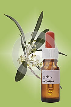 Bottle with Bach Flower Stock Remedy, Olive (Olea europaea)