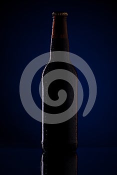 Bottle of beer with drops