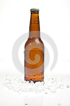 Bottle of beer standing in ice