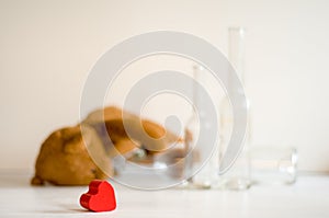 Bottle in blur. Red heart. Alcoholism concept