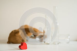 Bottle in blur. Red heart. Alcoholism concept