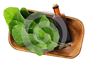 Bottle of Burdock infusion, oil or tincture and leaves in bowl, isolated. Top view. Flat lay