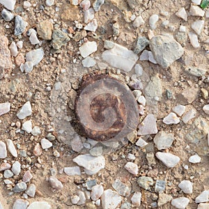 Bottle cap in nature - Pollution