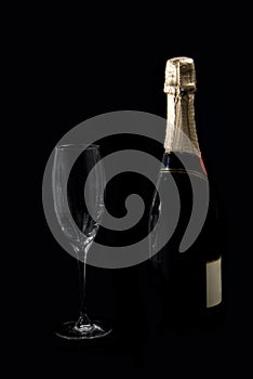 Bottle of champagne and glass