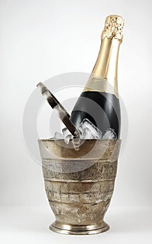 A bottle of champagne in an ice bucket isolated