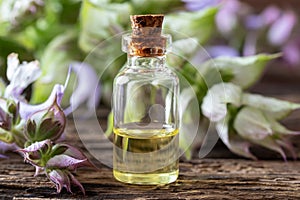 A bottle of clary sage essential oil with fresh plant