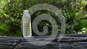 A bottle of clear water stands on a log in a green forest on a sunny day