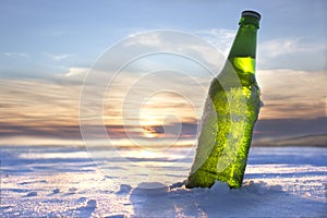 Bottle of Cold Beer