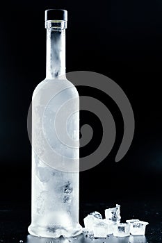 Bottle of cold vodka on dark background