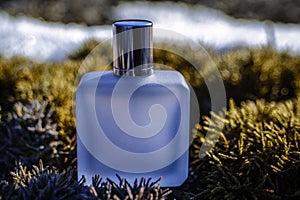 A bottle of cologne is sitting on a patch of grass