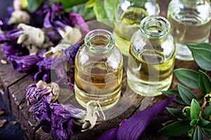 A bottle of common mallow essential oil with dried flowers. Dried herbs with essential oils for aromatherapy treatment