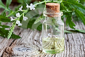 A bottle of vervain essential oil with blooming verbena officinalis