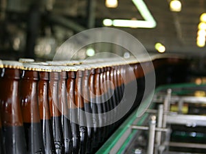 Bottle conveyor