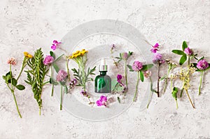 Bottle cosmetic skincare serum medical flowers herbs. alternative medicine. clover milfoil tansy rosebay