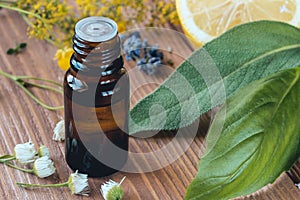 Bottle of dark glass with essential oil of basil or sage for health and aromatherapy.