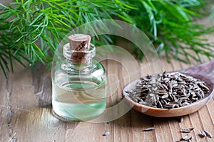 A bottle of dill seed oil with dill seeds and fresh twigs