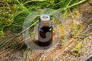 A bottle of dill seed oil with fresh blooming Anethum graveolens