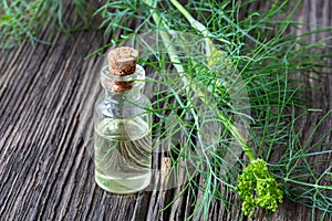 A bottle of dill seed oil with fresh blooming Anethum graveolens