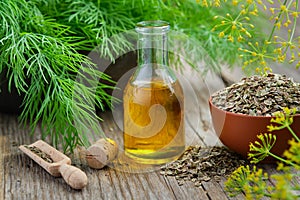 Bottle of dill seeds oil, bunch of fresh green dill and bowl of dried fennel seeds.