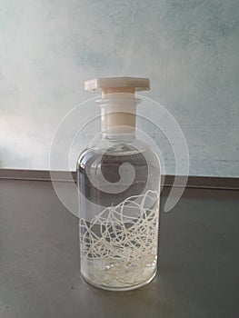 Bottle with dog heartworm