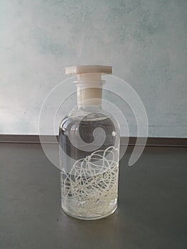 Bottle with dog heartworm