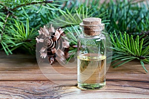 A bottle of Douglas fir essential oil with fresh Douglas fir bra photo