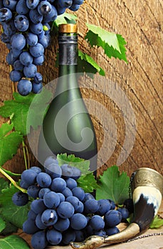 Bottle, drinking horn and bunch of grapes