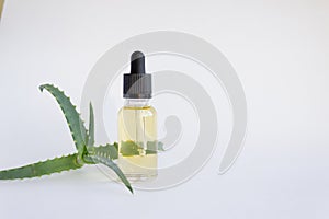 Bottle of dropper with aloe vera essential oil, professional skin care