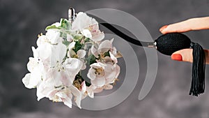 Bottle of eau de toilette or perfume made from apple blossom with long black tassel spray pomp on dark gray background