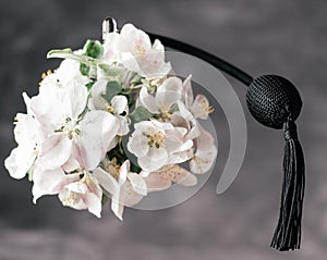 Bottle of eau de toilette or perfume made from apple blossom with long black tassel spray pomp on dark gray background