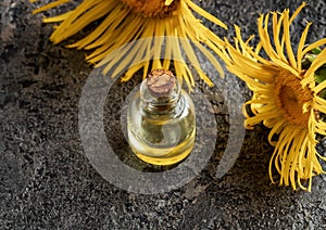 A bottle of elecampane essential oil with fresh Inula helenium plant