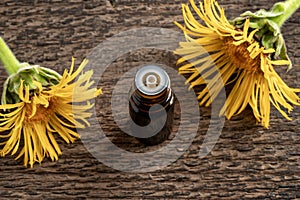 A bottle of elecampane essential oil with fresh plant