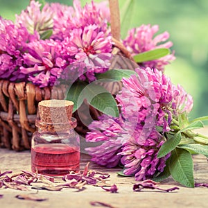 Bottle of elixir or essential oil and clover in basket. photo