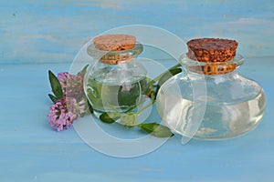 Bottle of elixir or essential oil and fresh clover flowers on blue wooden background