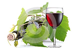 Bottle entwined with vine and glass of wine