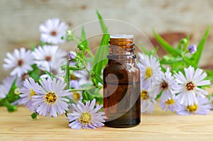 Bottle of essential aroma oil (herbal extract, tincture, infusion)