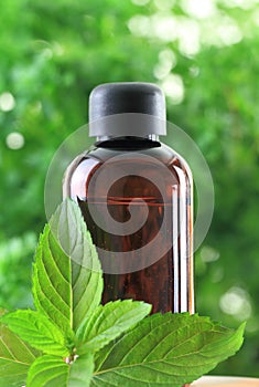 Bottle of essential oil