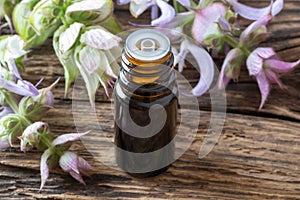 A bottle of clary sage essential oil and fresh plant