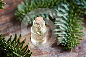 A bottle of essential oil with fir tree branches