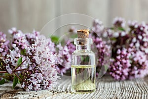 A bottle of oregano essential oil with fresh blooming oregano photo