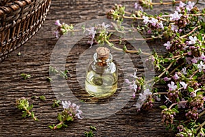 A bottle of essential oil with fresh blooming thyme