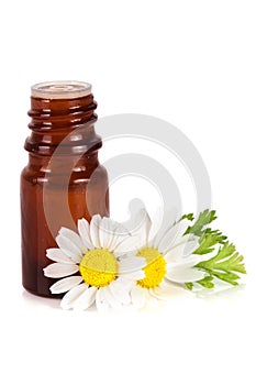 Bottle with essential oil and fresh chamomile flowers isolated on white background