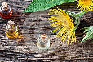 A bottle of essential oil with fresh elecampane plant