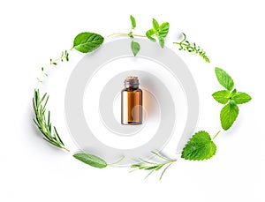 Bottle of essential oil with fresh herbal sage, rosemary, oregano, thyme, lemon balm, spearmint and peppermint setup with flat la