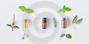Bottle of essential oil with fresh herbal sage, rosemary, oregano, thyme, lemon balm spearmint and peppermint setup with flat lay