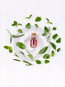 Bottle of essential oil with herb holy basil leaf, rosemary,oregano, sage,basil and mint on white background.